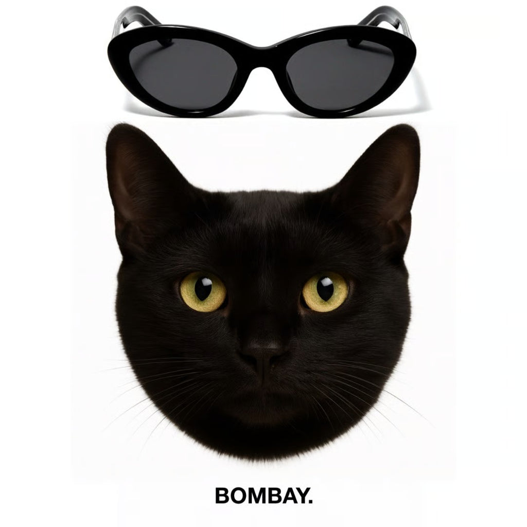BOMBAY sumglasses