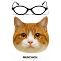 MUNCHKIN glasses