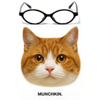 MUNCHKIN glasses